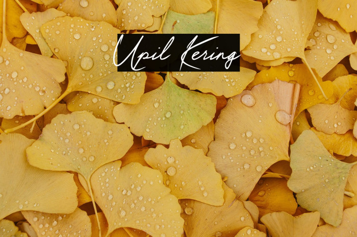 Upil Kering Example 3