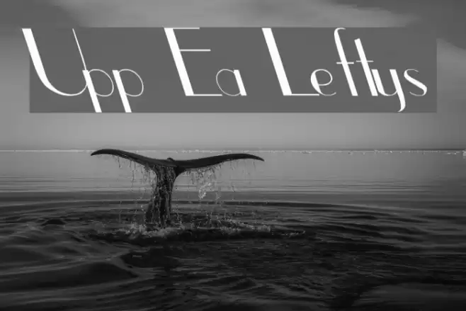 Upp Ea Leftys Font examples