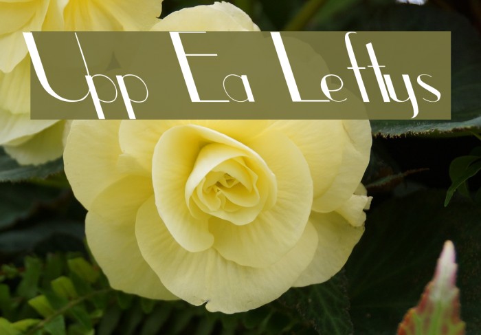 Upp Ea Leftys Font examples