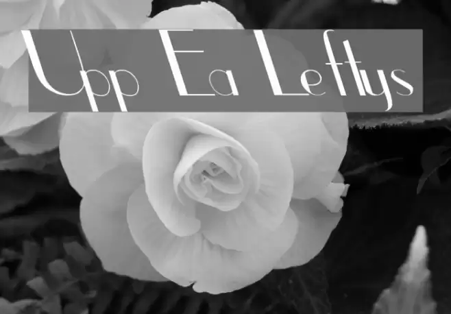 Upp Ea Leftys Font examples