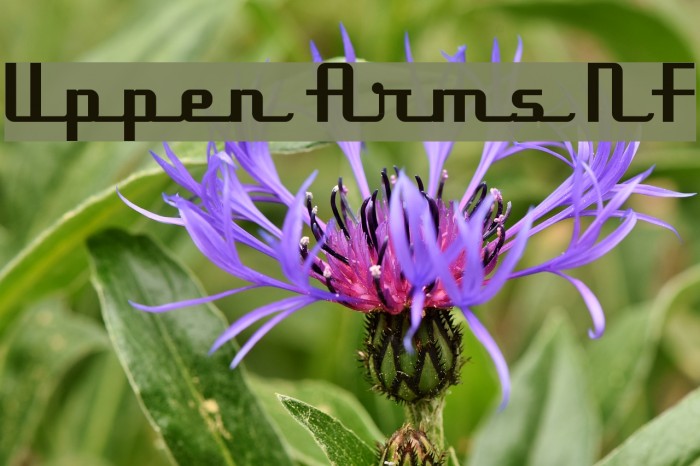 Uppen Arms NF Font examples