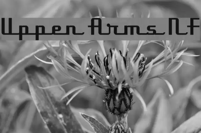 Uppen Arms NF フォント examples