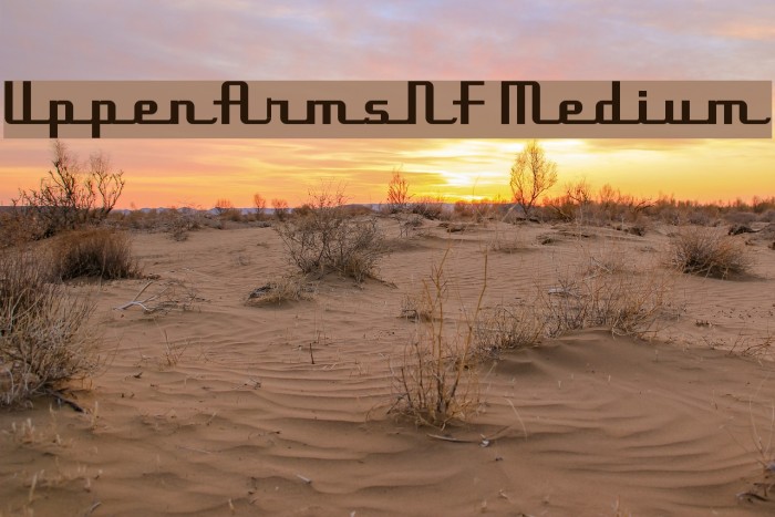 UppenArmsNF Medium Font examples