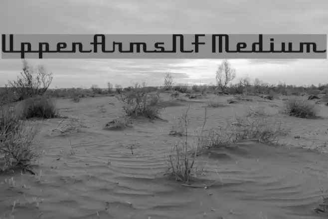 UppenArmsNF Medium フォント examples