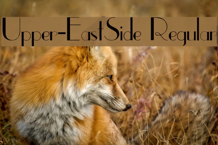 Upper-EastSide Regular Font examples