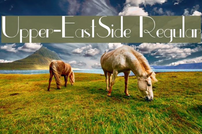 Upper-EastSide Regular Font examples