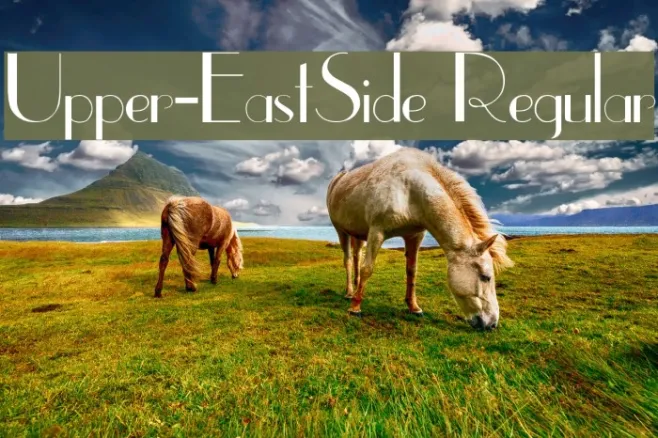 Upper-EastSide Regular Example 3