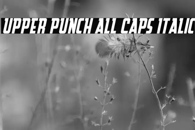 Upper Punch All Caps Italic Font examples