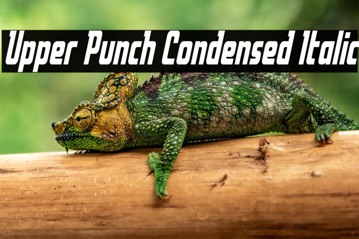 Upper Punch Condensed Italic Example 1