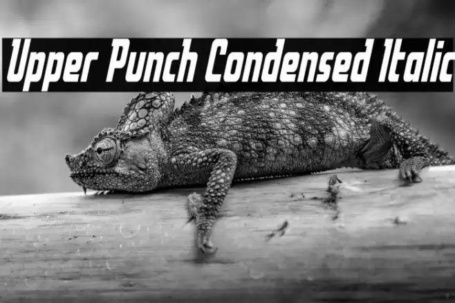 Upper Punch Condensed Italic Font examples