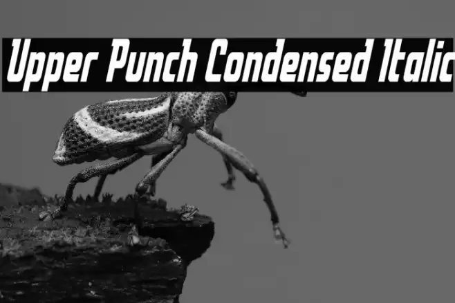Upper Punch Condensed Italic Font examples