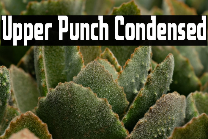 Upper Punch Condensed Example 2