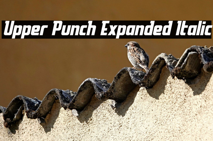 Upper Punch Expanded Italic Example 1