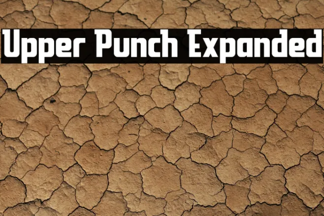 Upper Punch Expanded Example 2