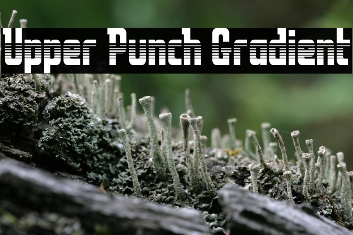 Upper Punch Gradient Example 3