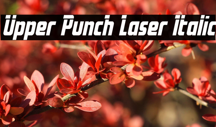 Upper Punch Laser Italic Example 2