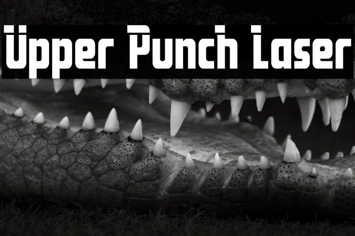 Upper Punch Laser Example 2