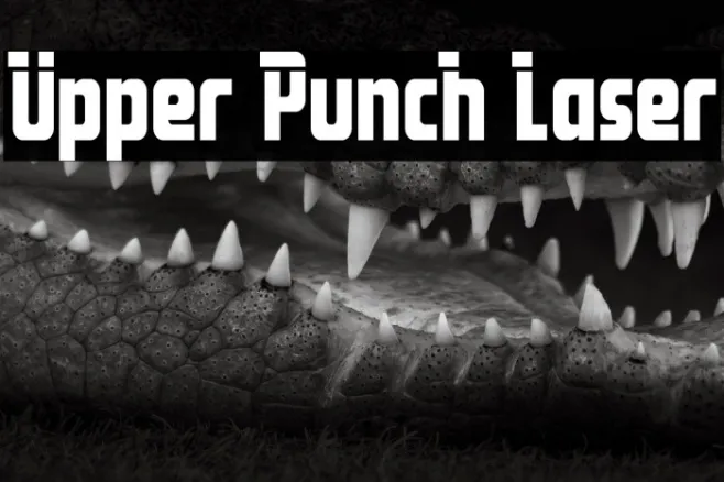 Upper Punch Laser Example 2