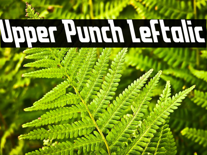 Upper Punch Leftalic Example 3