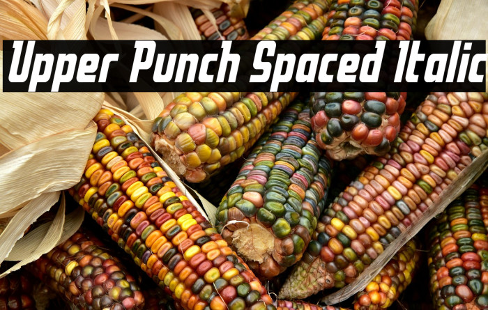 Upper Punch Spaced Italic Example 2