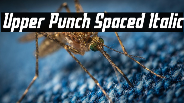 Upper Punch Spaced Italic Example 3