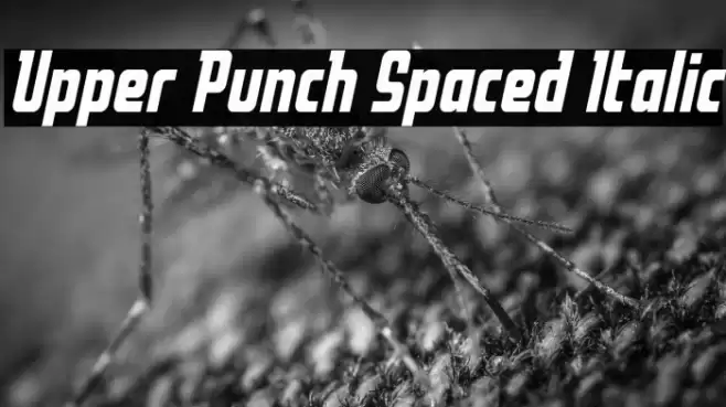 Upper Punch Spaced Italic Font examples