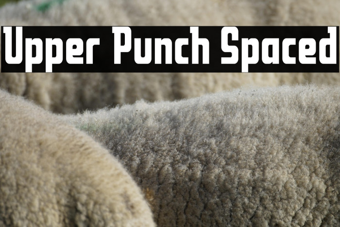 Upper Punch Spaced Example 1