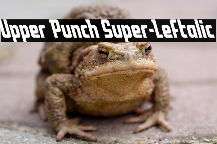 Upper Punch Super-Leftalic Example 1