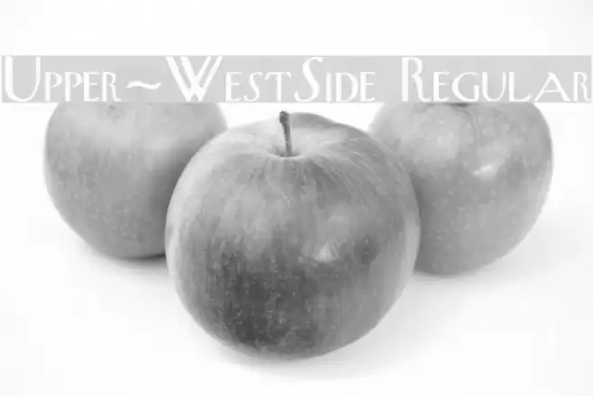 Upper-WestSide Regular フォント examples