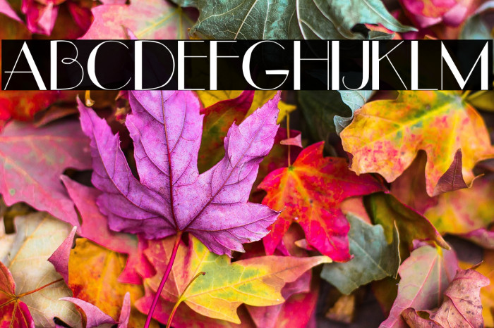 UpperEastSide Example 2