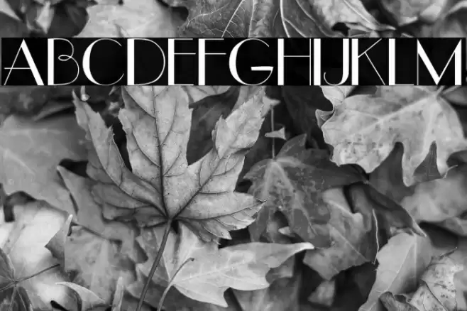 UpperEastSide Font examples