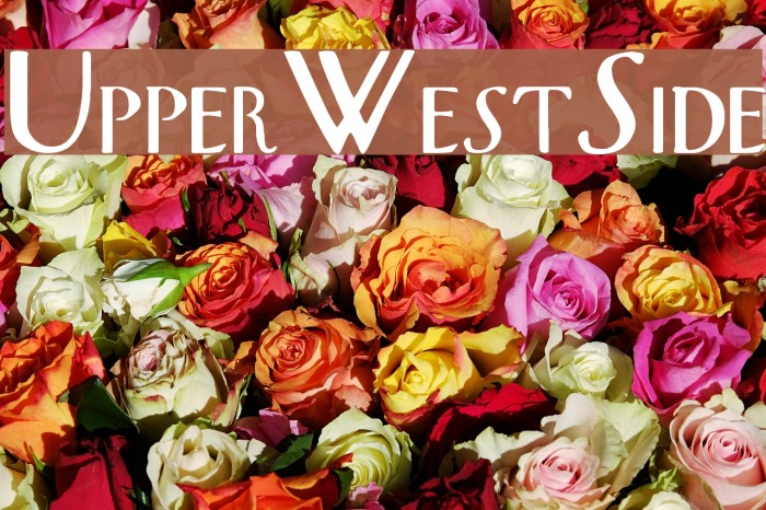 UpperWestSide Font examples