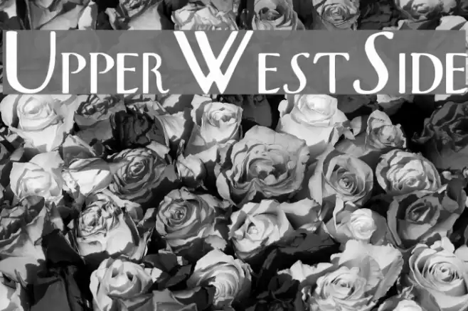 UpperWestSide Schriftart examples