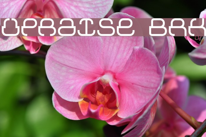 Upraise BRK Font examples
