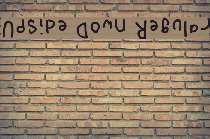 Upside Down Regular Font examples