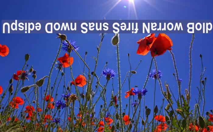 Upside Down Sans Serif Narrow Bold Example 2