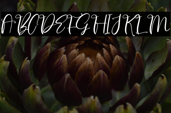 Upstand Signature Example 2