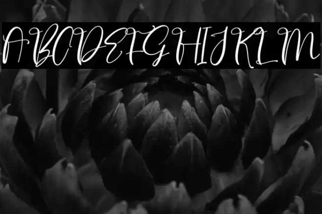 Upstand Signature Polices examples