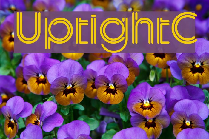 UptightC Font examples