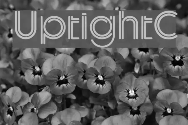 UptightC フォント examples