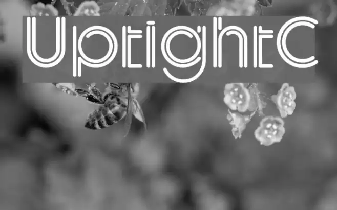 UptightC フォント examples