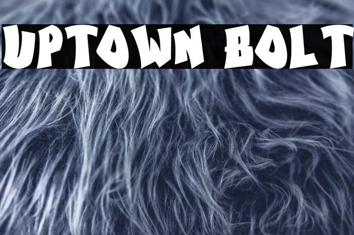 Uptown Bolt Example 3