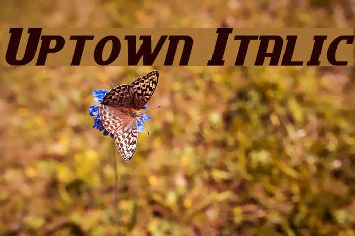 Uptown Italic フォント examples