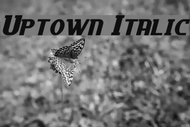 Uptown Italic Font examples