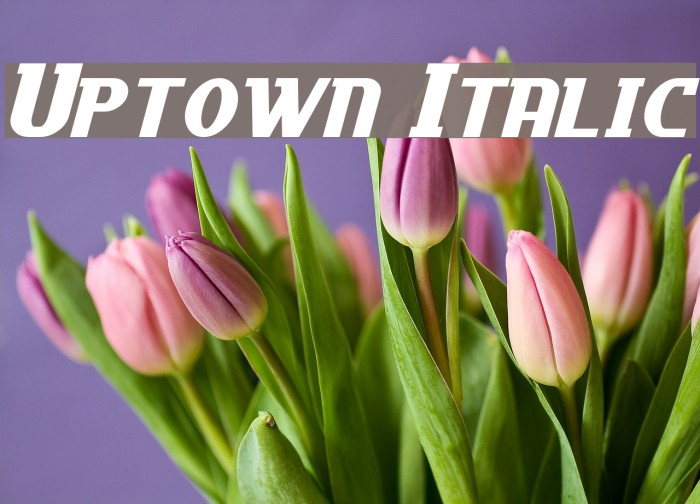 Uptown Italic フォント examples