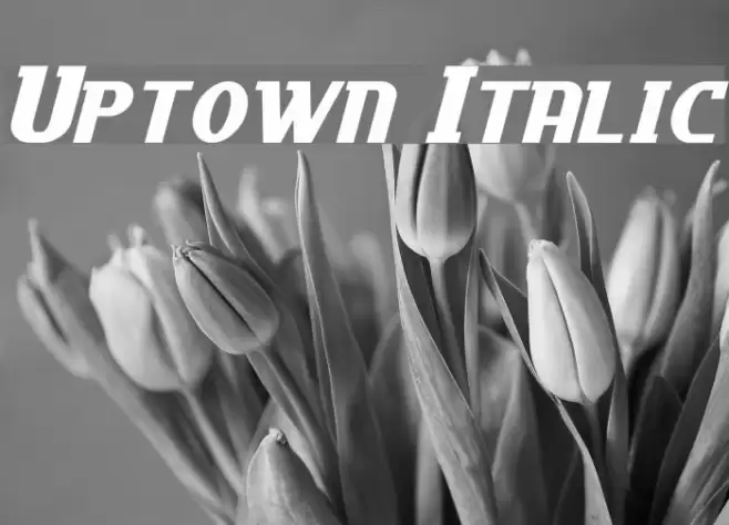 Uptown Italic Font examples