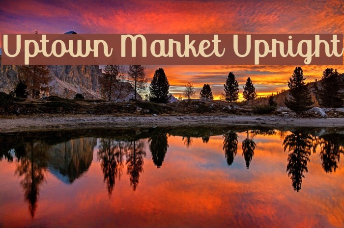Uptown Market Upright Fuentes examples