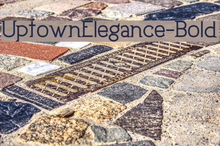UptownElegance-Bold Font examples