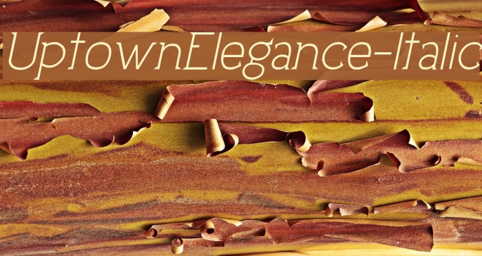 UptownElegance-Italic Font examples