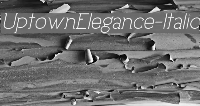 UptownElegance-Italic Caratteri examples